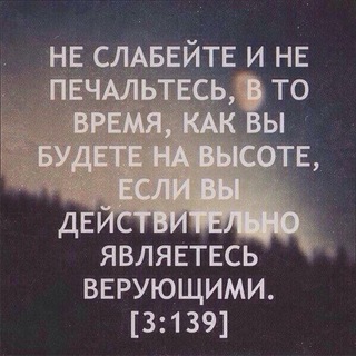 Telegram profile photo for Жизнь и Вечность