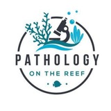 Telegram profile photo for Pathoma Lectures