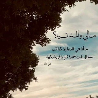 Telegram profile photo for روحٌ وريحان🤎")