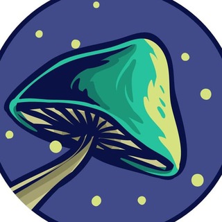 Telegram profile photo for SPORE waterfall