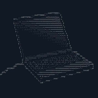 Telegram profile photo for P.F.K Security
