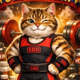 Telegram profile photo for ВЕС ВЗЯТ