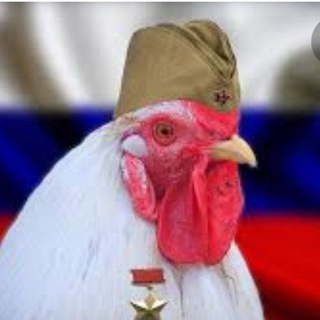 Telegram profile photo for россия Головного Мозга