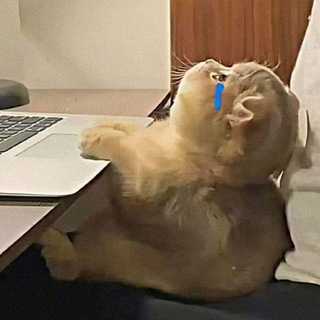Telegram profile photo for БОЖЕ ПОМОЖИ