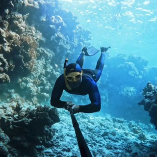 Telegram profile photo for Где Морячок? К морю, к ветру, к просторам 🐬