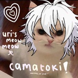 Telegram profile photo for Yokohama.