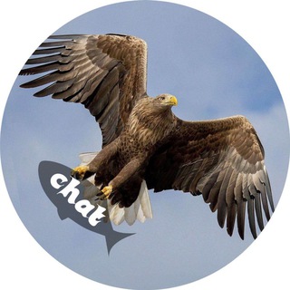 Telegram group profile photo for orlanbeloxvost chat