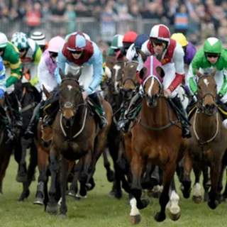 Telegram profile photo for Andy Hobbs - Cheltenham 2026