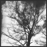 Telegram profile photo for ❝ Literacy — Words, Ink & Thought ❞