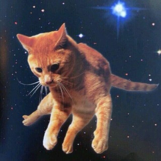 Telegram profile photo for B1kед