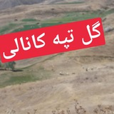 Telegram profile photo for گل تپه آنلاین