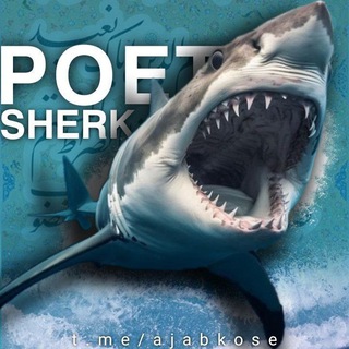 Telegram profile photo for کوسهی شاعر | poet's shar