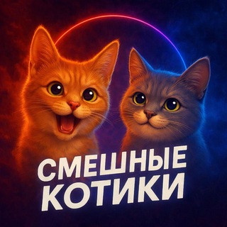 Telegram profile photo for Смешные коты | котики | котята