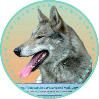 Telegram profile photo for ВОЛЭНД - СОБАКА С ВОЛЧЬЕЙ КРОВЬЮ