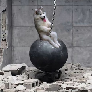 Telegram profile photo for Funny videos & pictures