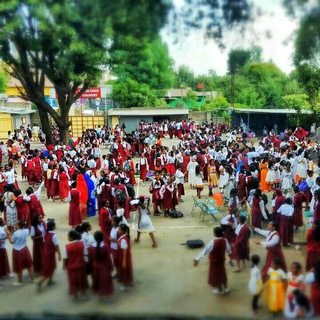 Telegram profile photo for Nazareth School Photography