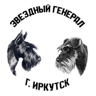 Telegram profile photo for ЗВЕЗДНЫЙ ГЕНЕРАЛ \ Питомник 🐾