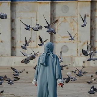 Telegram profile photo for تزوّدوا