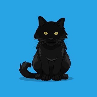 Telegram profile photo for Mittenstonchain