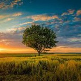 Telegram profile photo for Ai Books library