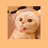 Telegram profile photo for Жизнь>>>💗💋
