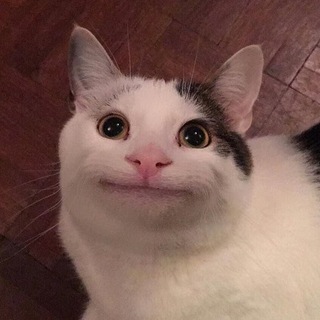Telegram profile photo for МЫШКИ СОСИСКИ