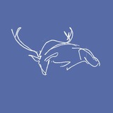 Telegram profile photo for Red Deer Sleeping