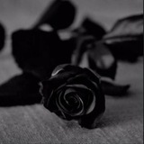 Telegram profile photo for اجر لي ولكم 🖤🍂