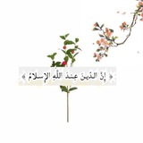 Telegram profile photo for ديـنُـنَا حـياة🌾
