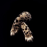 Telegram profile photo for ππππππππ ππππ.
