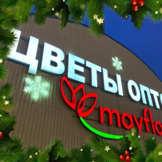 Telegram profile photo for Mayflor - Цветы Оптом
