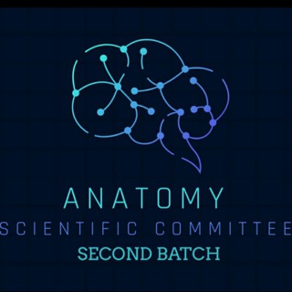 Telegram profile photo for anatomy(1)