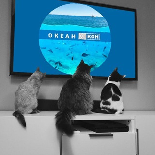 Telegram profile photo for ОКЕАН