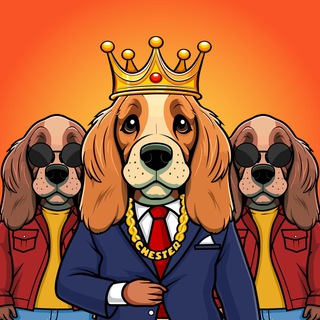Telegram profile photo for Chesters Calls