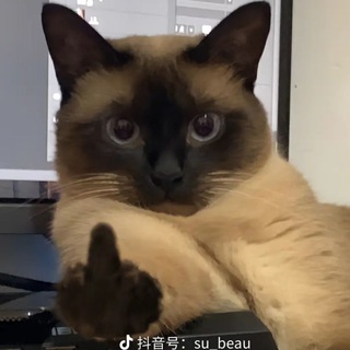 Telegram profile photo for 文件存放处