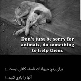 Telegram profile photo for حامیان نیک اندیش