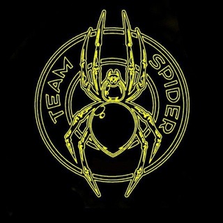 Telegram profile photo for Spider Team0