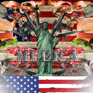 Telegram profile photo for MURICA (PORTAL)