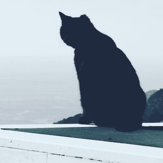 Telegram profile photo for DevOps Brain 🧠