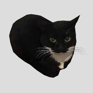 Telegram profile photo for триппа