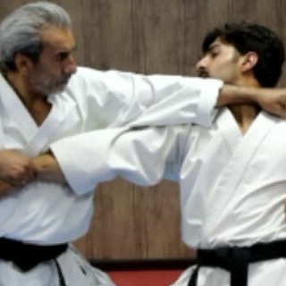 Telegram profile photo for NAZERIAN . (karate_do)