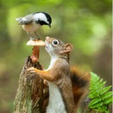 Telegram profile photo for РуЗабавы