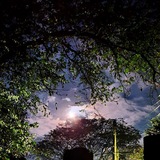 Telegram profile photo for Espiritualidade, Sete Raios e a Grande Fraternidade Branca