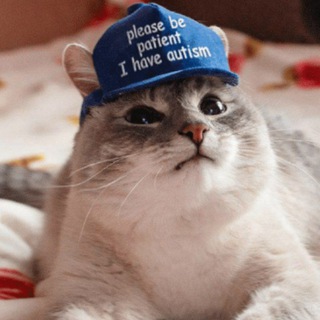 Telegram profile photo for Гифки с котами и забавные картинки