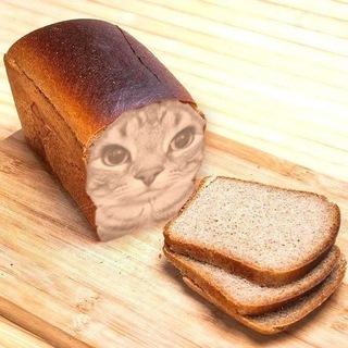 Telegram profile photo for 🔪Bread🍞