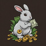 Telegram profile photo for The Money Bunny