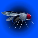 Telegram profile photo for STONKFLY