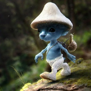 Telegram group profile photo for шайлушай home of shailushai (real smurf cat)