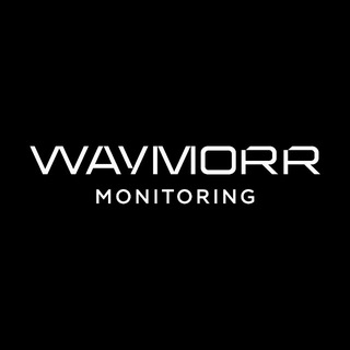 Telegram profile photo for WAYMORR Monitoring