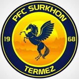 Telegram profile photo for SURXON F.C